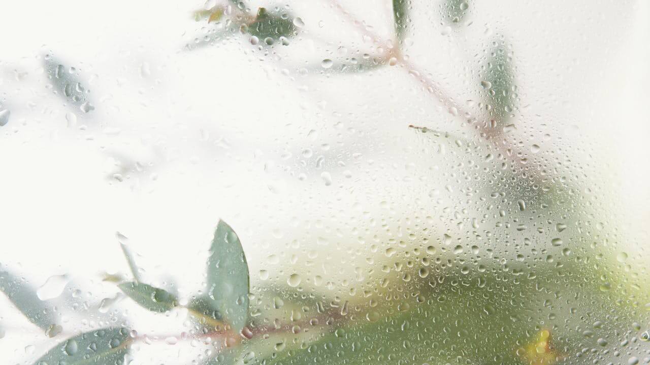 Water droplets