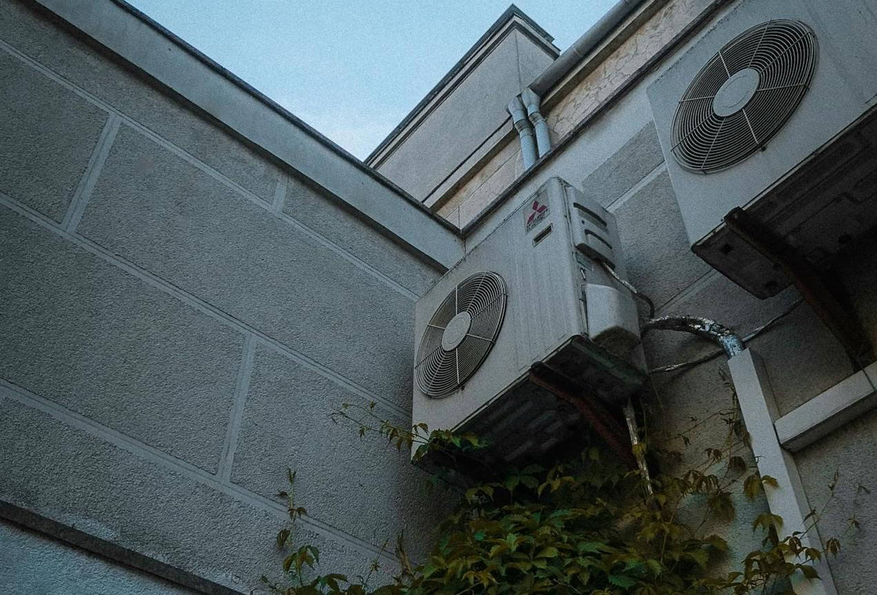 AC vines